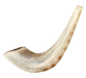 Horn Glasses Frames: A Rare, Premium Choice for Luxury Eyewear